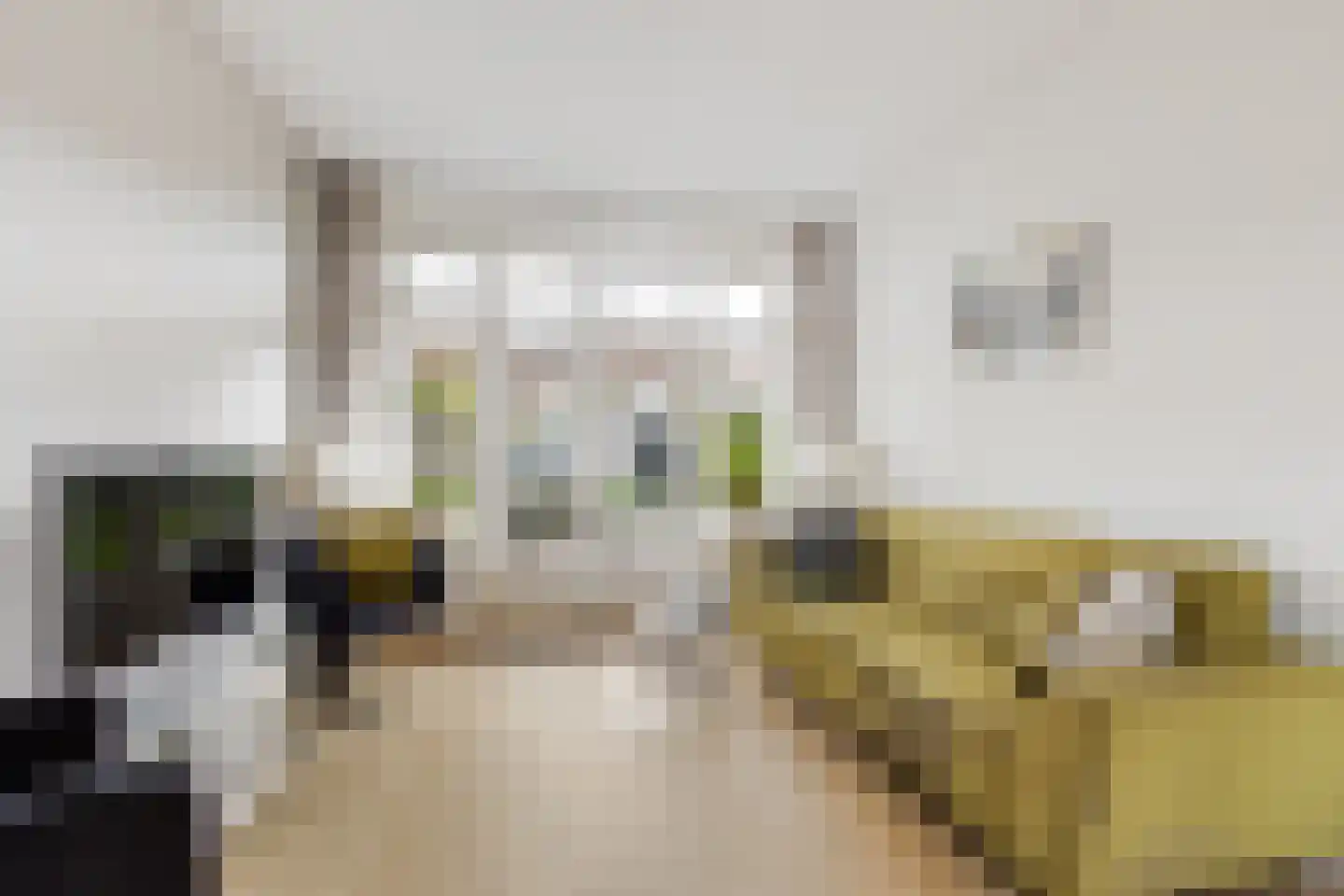 Jacob Catslaan 42 Leiden thumbnail 5
