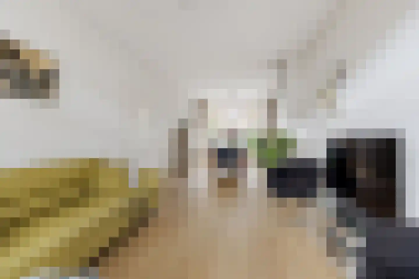 Jacob Catslaan 42 Leiden thumbnail 6