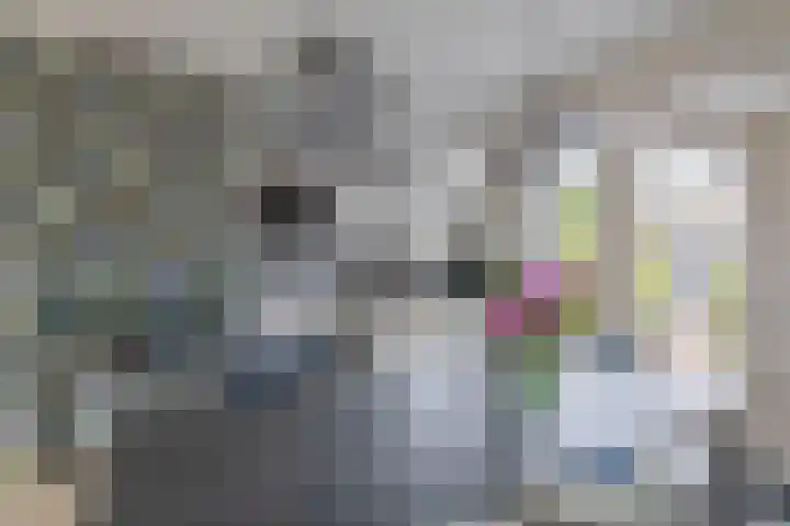 Jacob Catslaan 50 Waddinxveen thumbnail 14