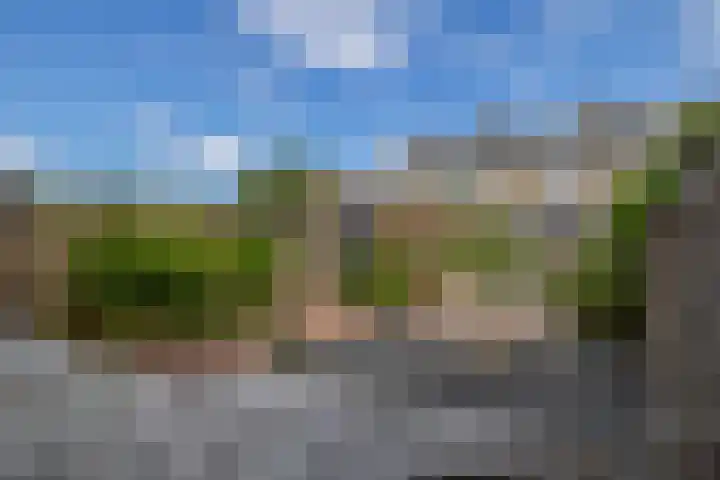 Jacob Catslaan 50 Waddinxveen thumbnail 21