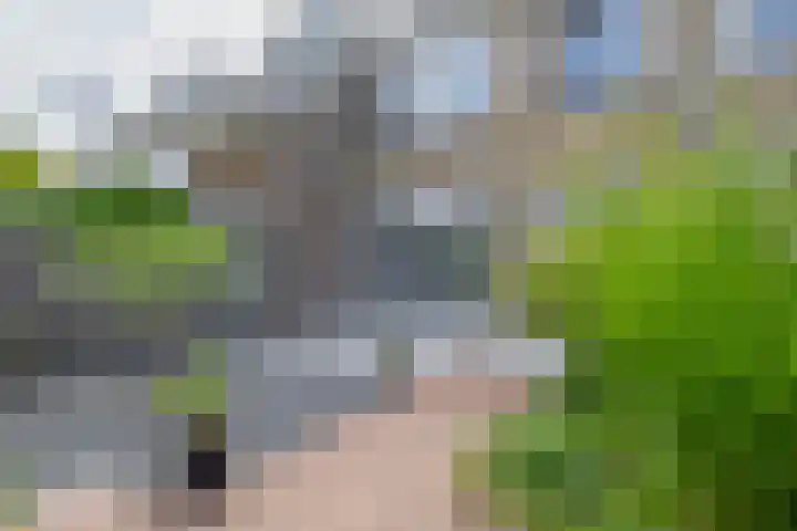 Jacob Catslaan 50 Waddinxveen thumbnail 22