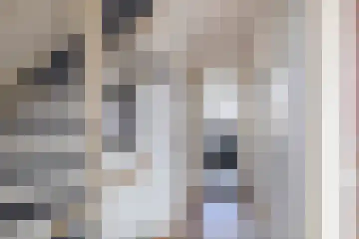 Jacob Catslaan 50 Waddinxveen thumbnail 25