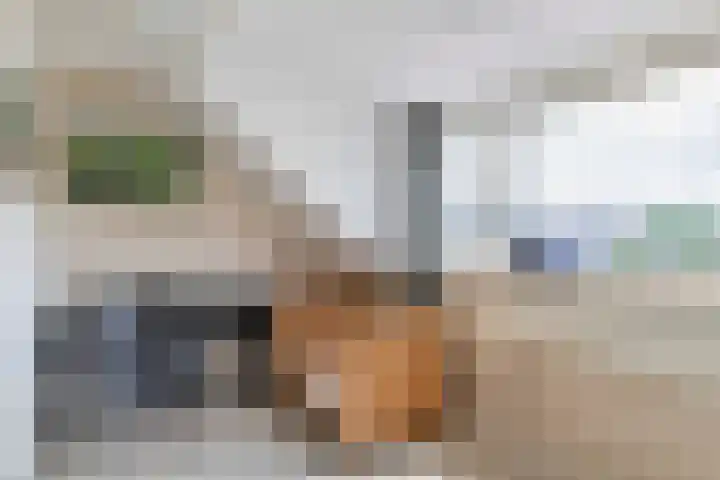Jacob Catslaan 50 Waddinxveen thumbnail 37