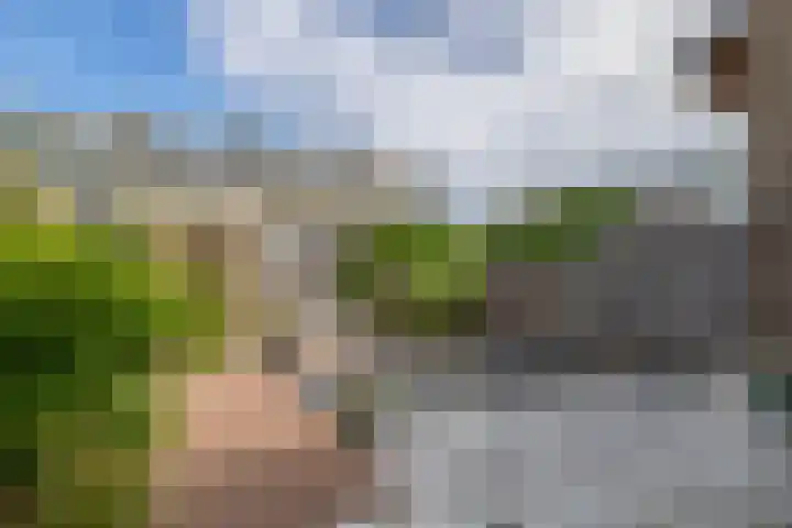 Jacob Catslaan 50 Waddinxveen thumbnail 4