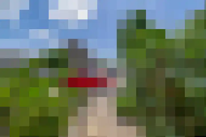 Jacob Catslaan 50 Waddinxveen thumbnail 40