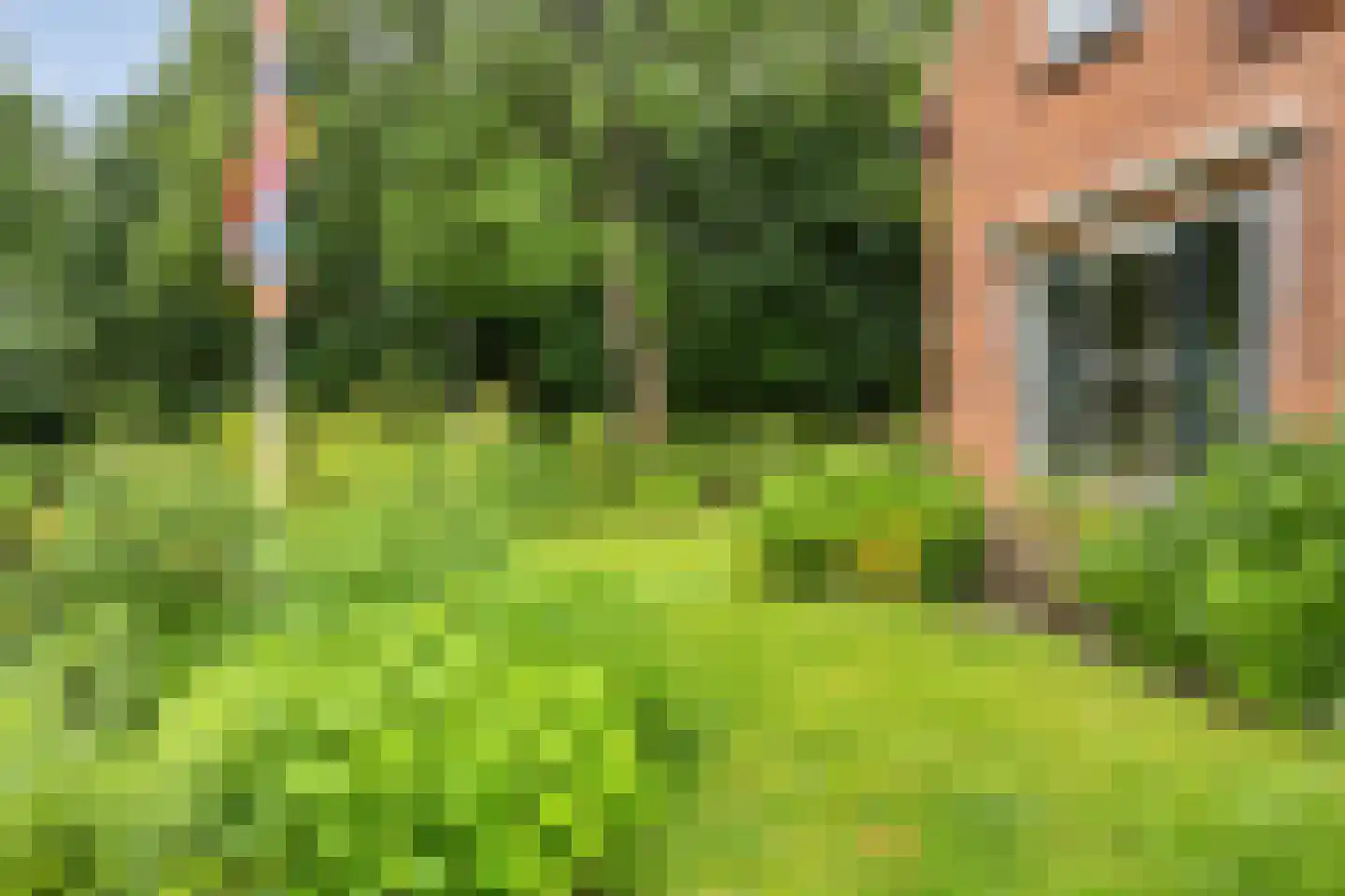 Jacob Catslaan 55 Amersfoort thumbnail 39