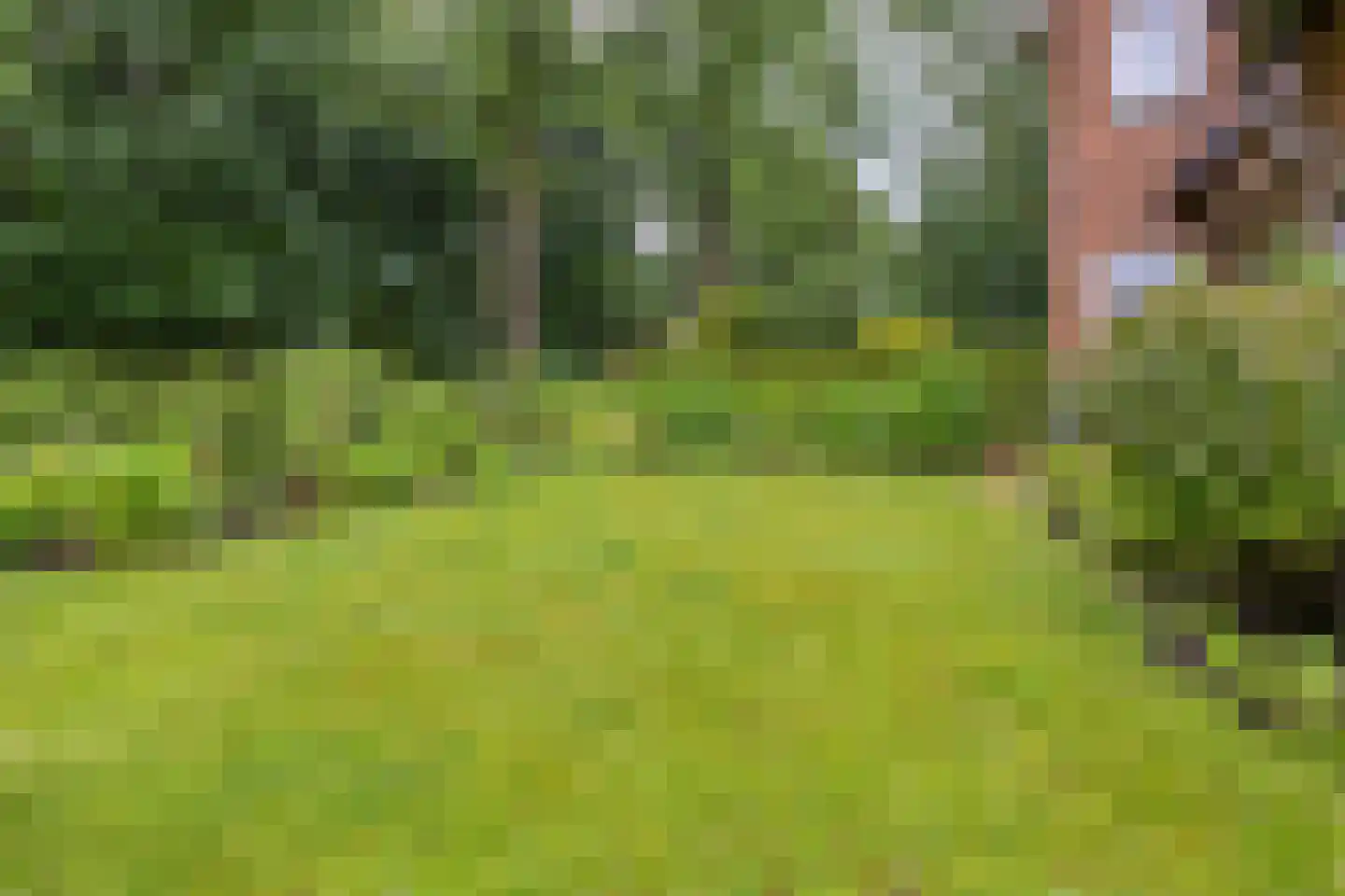 Jacob Catslaan 55 Amersfoort thumbnail 40