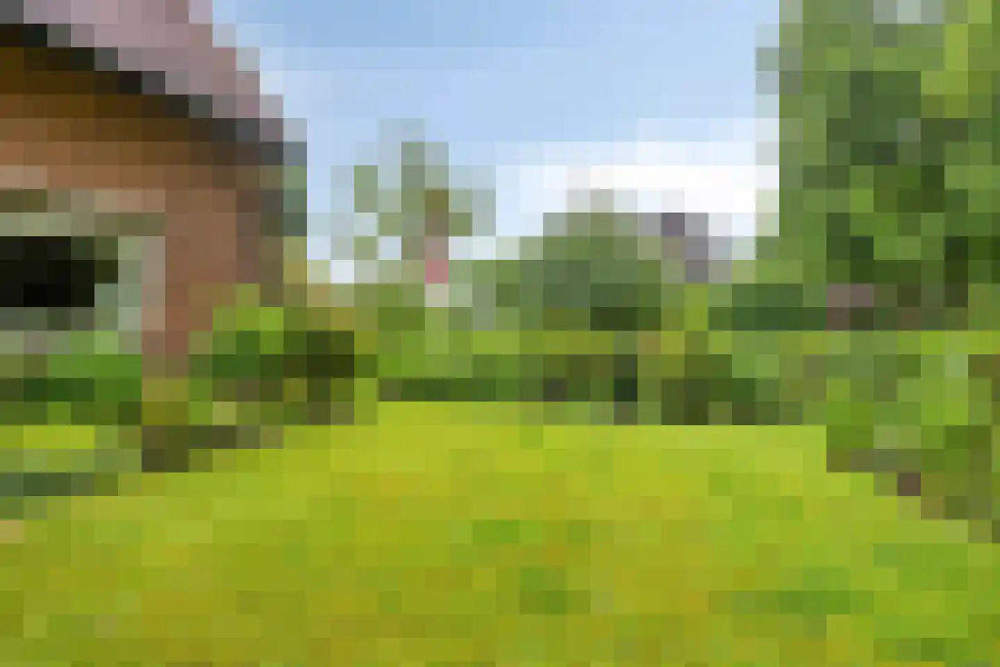 Jacob Catslaan 55 Amersfoort thumbnail 55