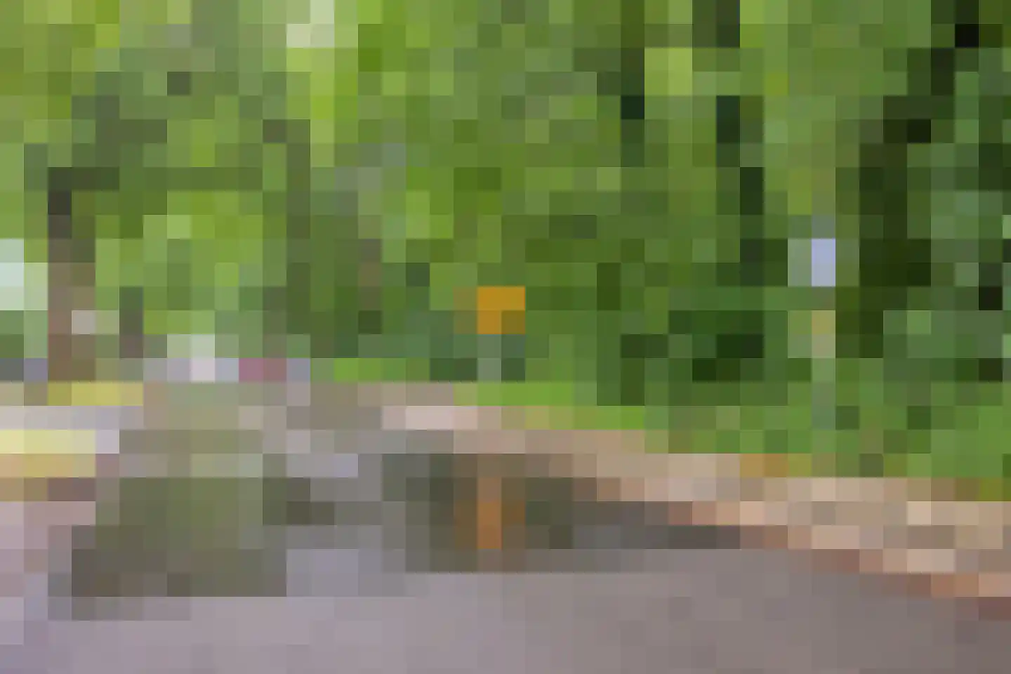 Jacob Catslaan 55 Amersfoort thumbnail 66