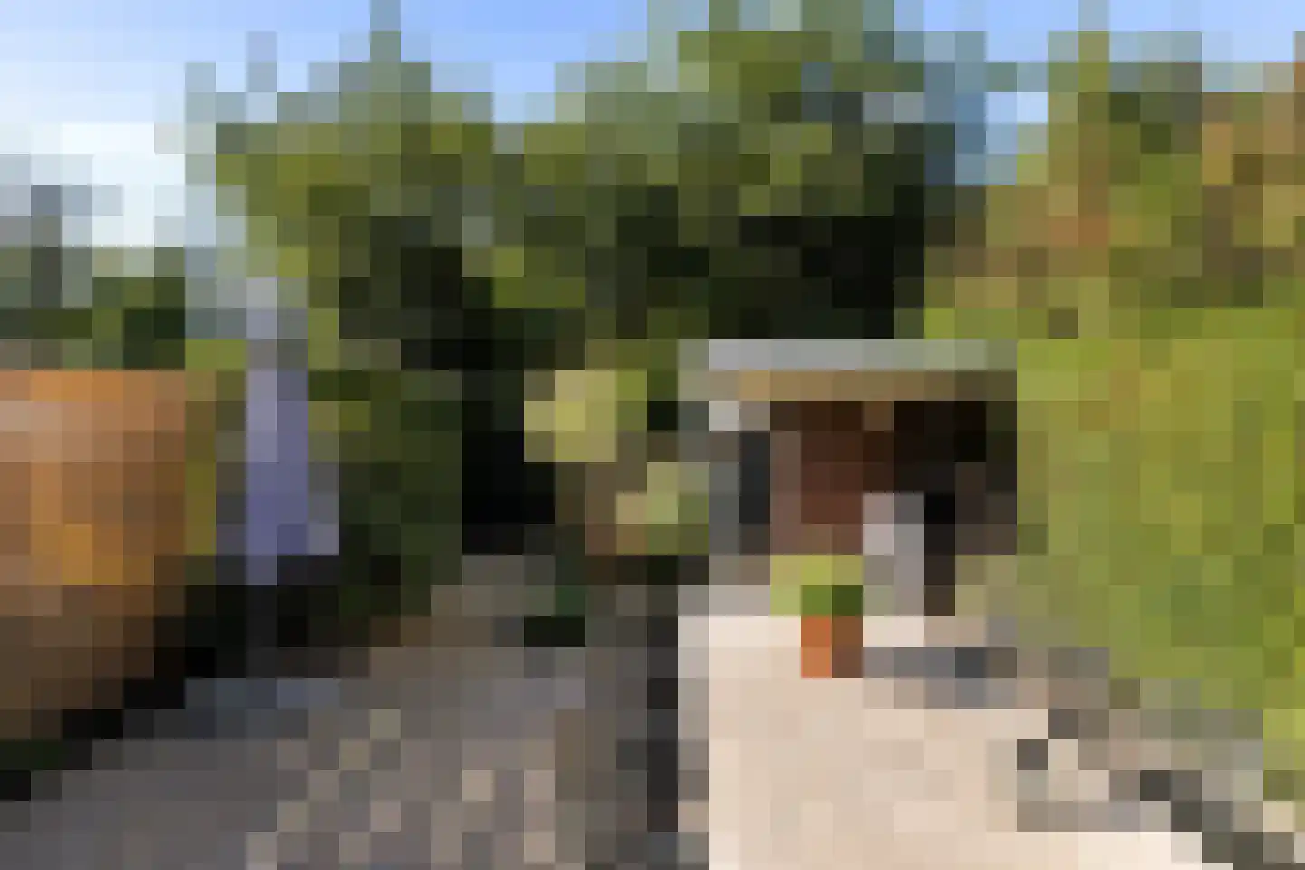 Jacob Catslaan 59 Capelle aan den IJssel thumbnail 30