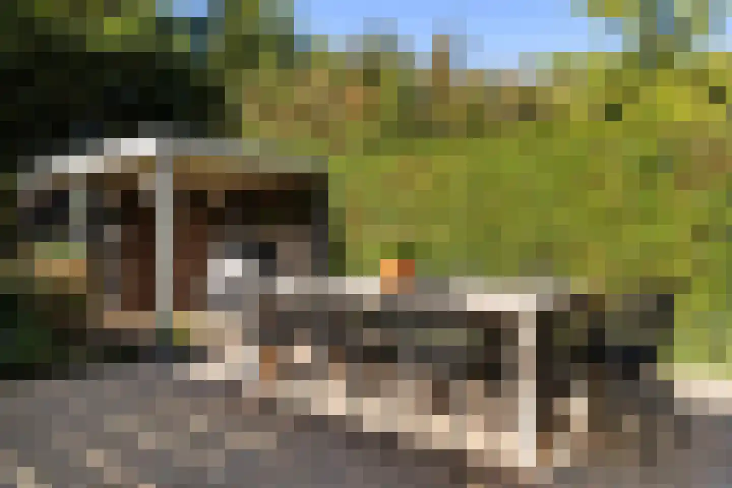 Jacob Catslaan 59 Capelle aan den IJssel thumbnail 31