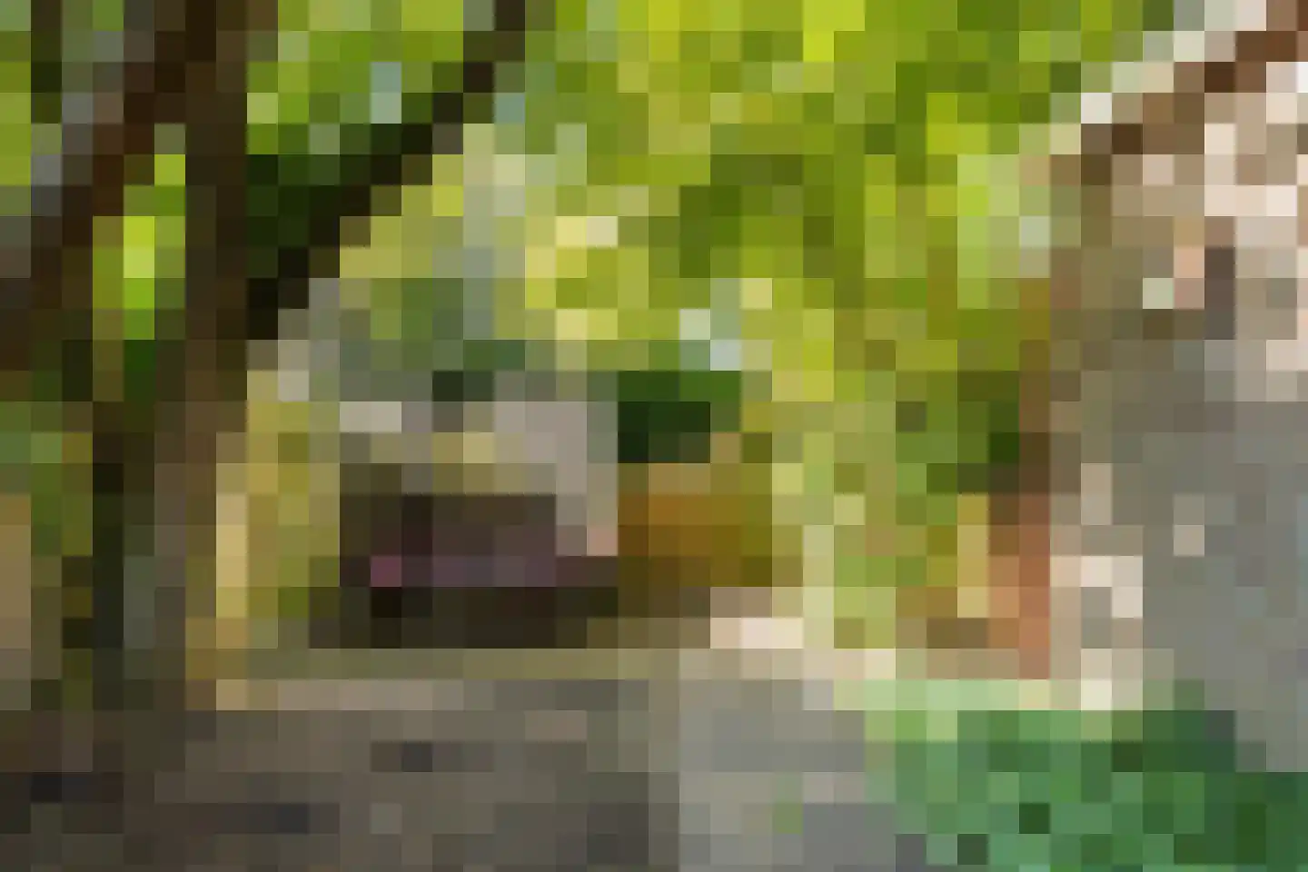 Jacob Catslaan 59 Capelle aan den IJssel thumbnail 32