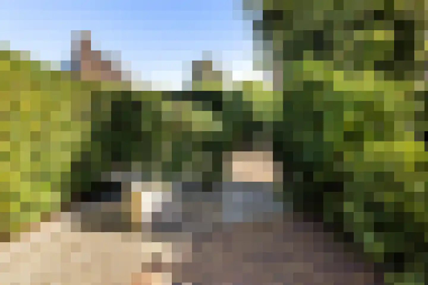 Jacob Catslaan 59 Capelle aan den IJssel thumbnail 35
