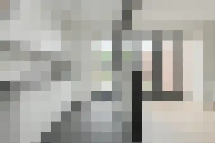 Jacob Catslaan 61 Oosterhout thumbnail 7