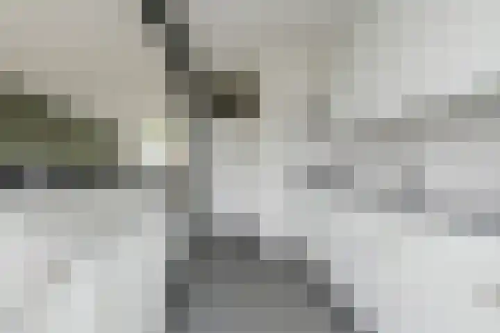 Jacob Catslaan 61 Oosterhout thumbnail 8