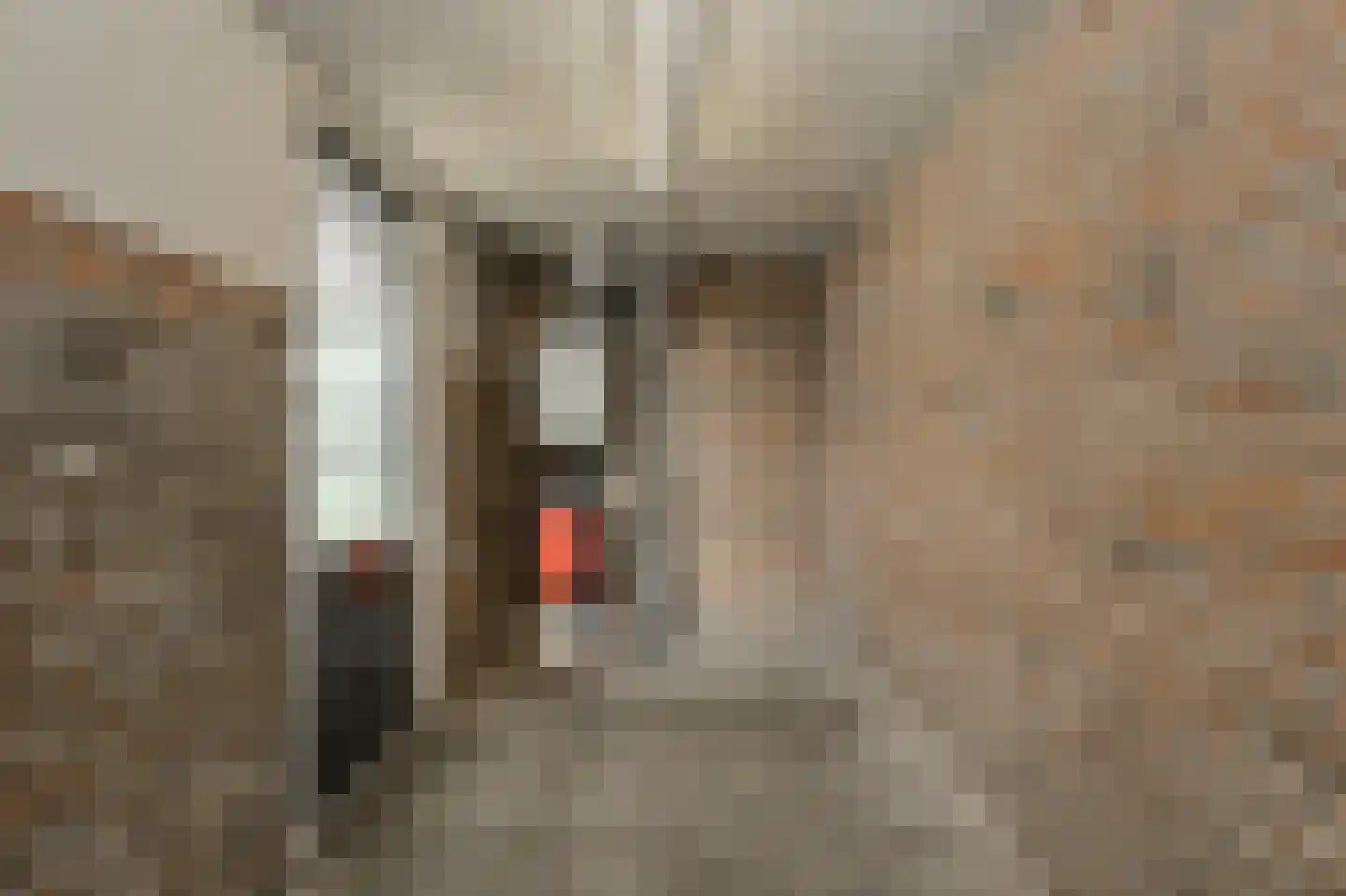 Jacob Catslaan 63 Oosterhout thumbnail 37