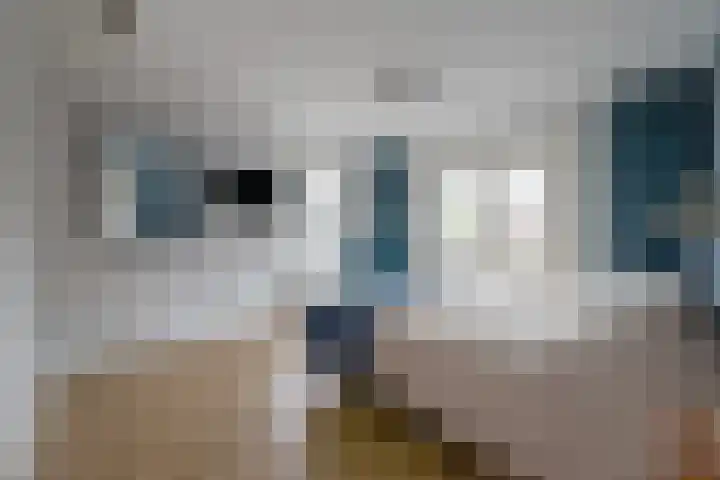 Jacob Catslaan 63 Zeist thumbnail 18