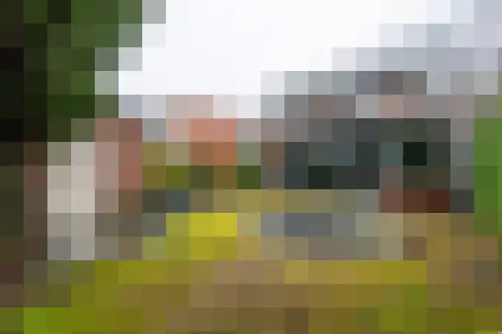 Jacob Catslaan 63 Zeist thumbnail 30