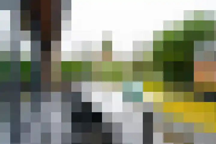 Jacob Catslaan 63 Zeist thumbnail 31