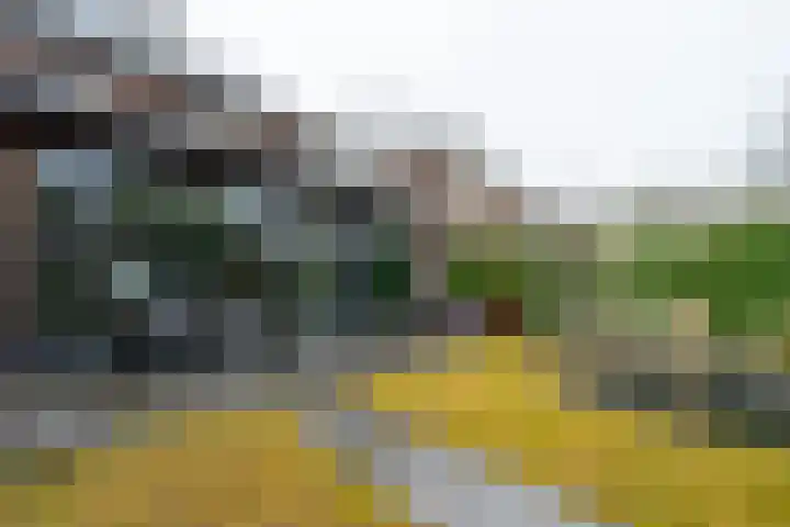 Jacob Catslaan 63 Zeist thumbnail 32