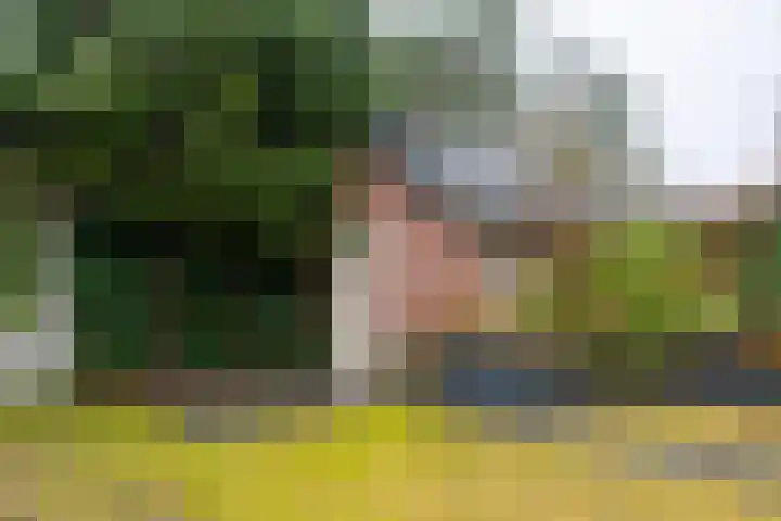 Jacob Catslaan 63 Zeist thumbnail 33