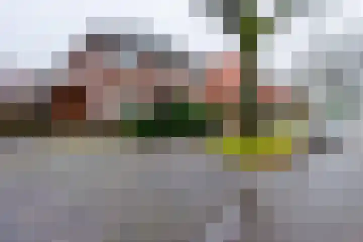 Jacob Catslaan 63 Zeist thumbnail 36