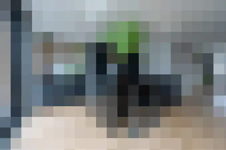 Jacob Catslaan 63 Zeist thumbnail 7
