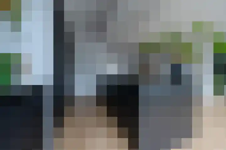 Jacob Catslaan 63 Zeist thumbnail 9