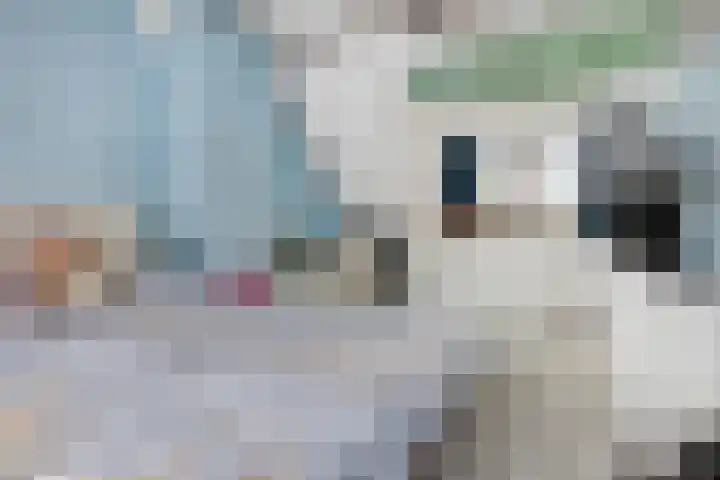 Jacob Catslaan 7 Capelle aan den IJssel thumbnail 18
