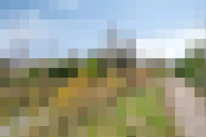 Jacob Catslaan 7 Capelle aan den IJssel thumbnail 22