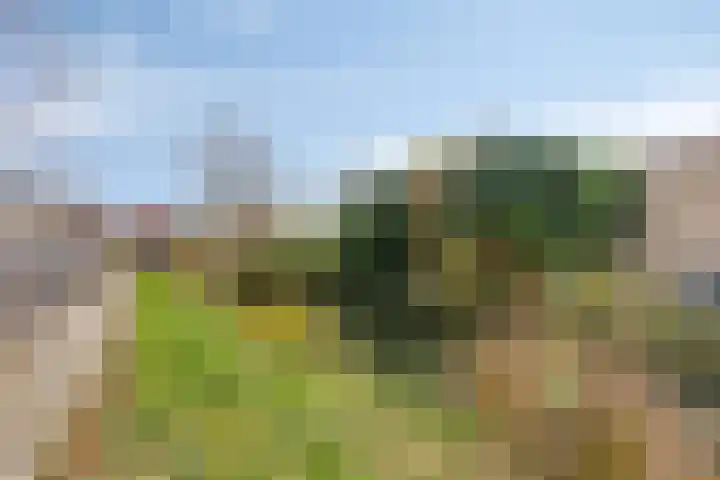 Jacob Catslaan 7 Capelle aan den IJssel thumbnail 23