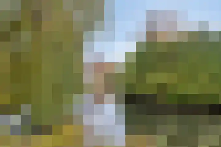 Jacob Catslaan 7 Capelle aan den IJssel thumbnail 24