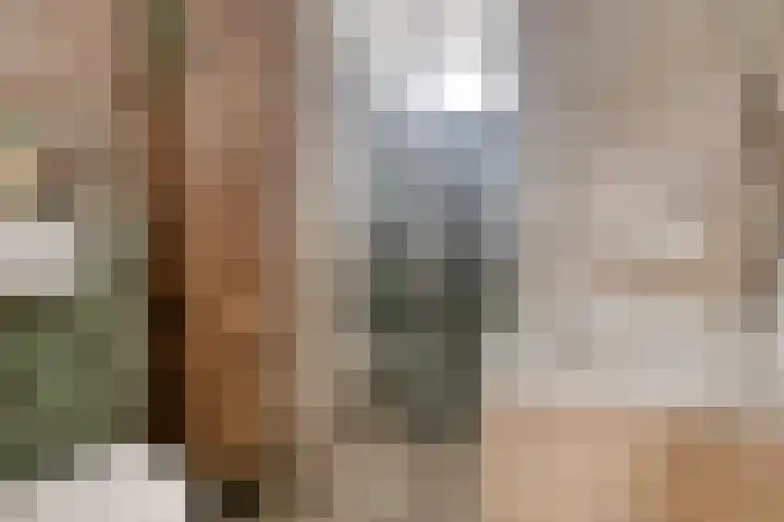 Jacob Catslaan 7 Capelle aan den IJssel thumbnail 9