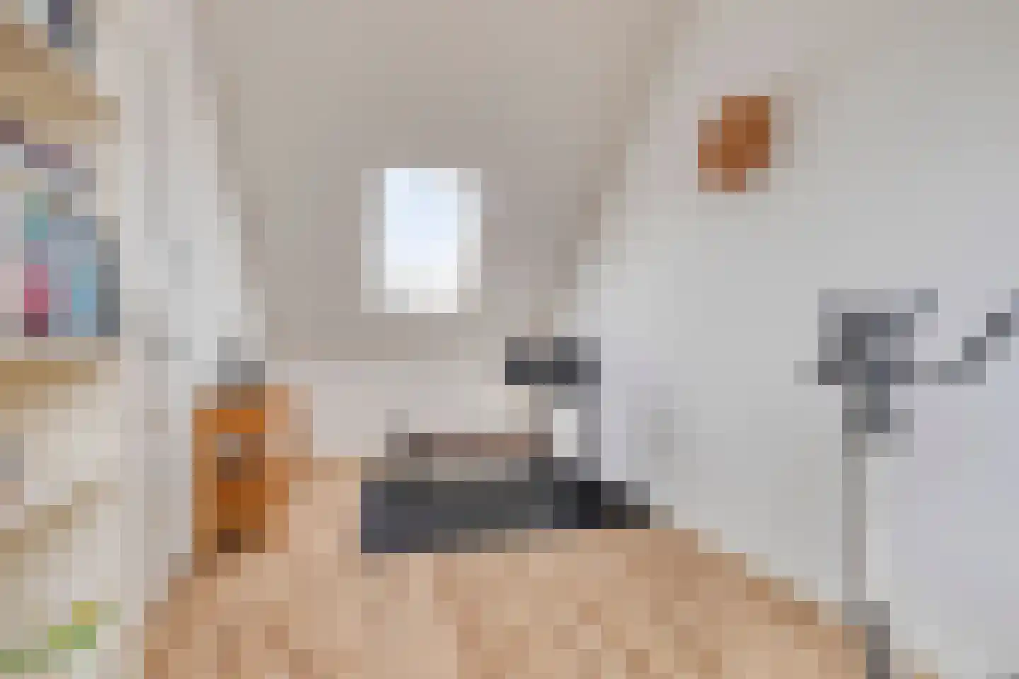 Jacob Catslaan 8 Bergen op Zoom thumbnail 25