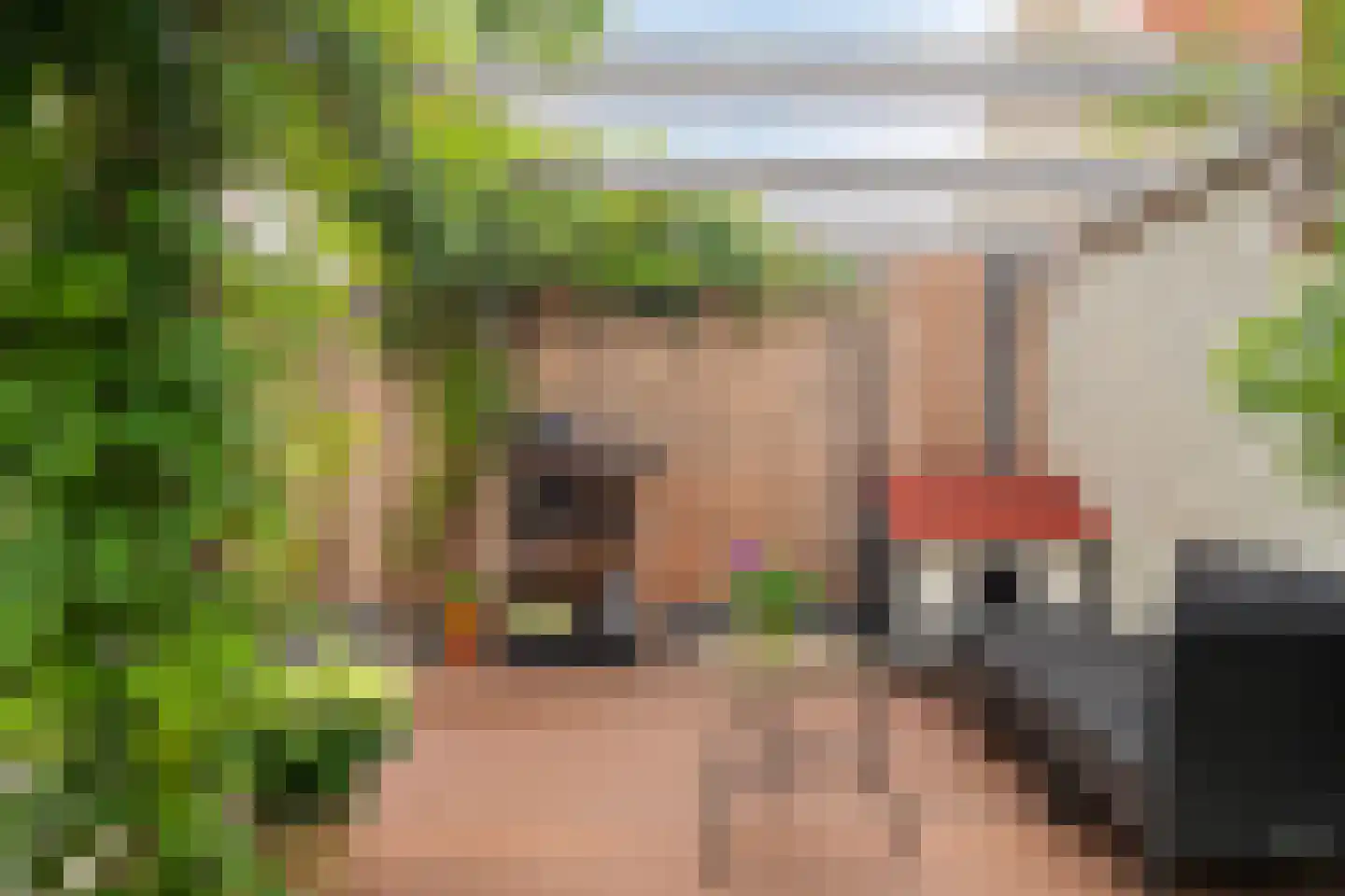 Jacob Catslaan 8 Bergen op Zoom thumbnail 29
