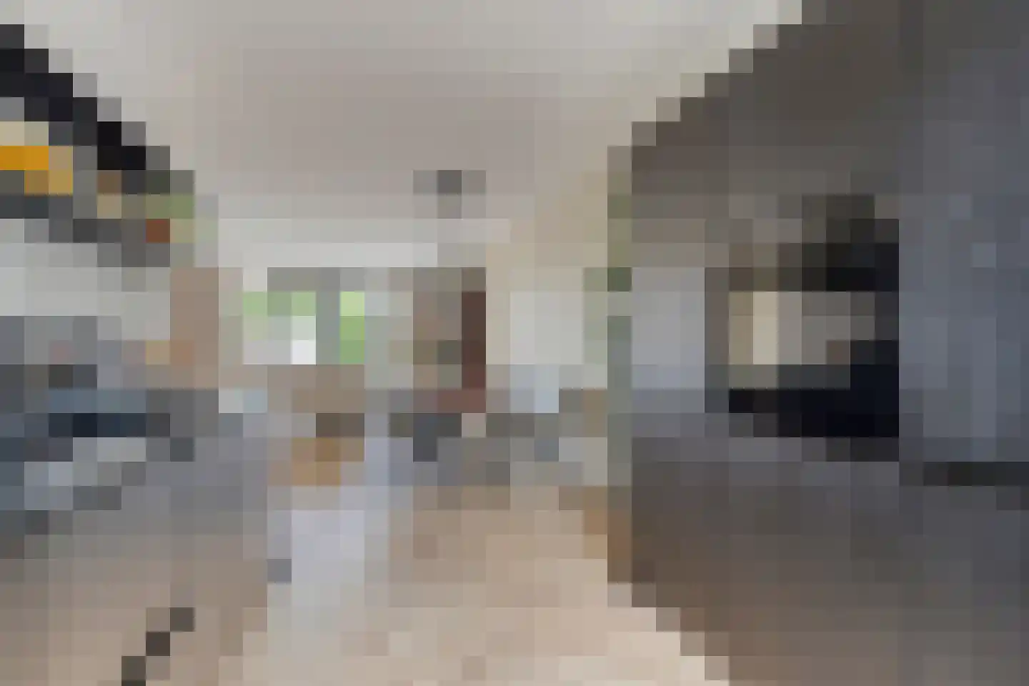 Jacob Catslaan 8 Bergen op Zoom thumbnail 4