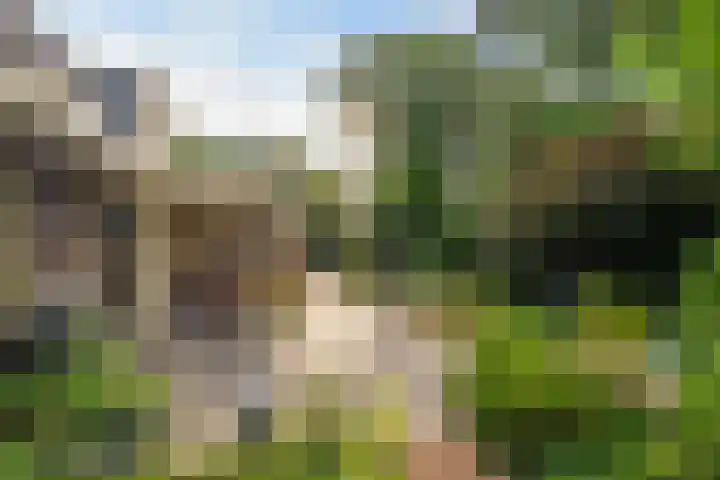 Jacob Catslaan 85 Ermelo thumbnail 44