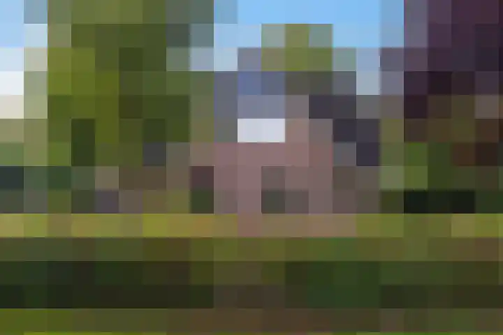Jacob Catslaan 85 Ermelo thumbnail 49
