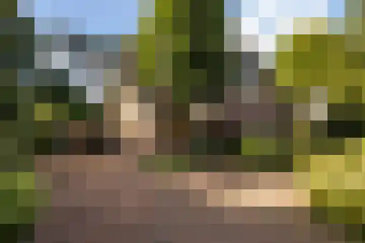 Jacob Catslaan 85 Ermelo thumbnail 50