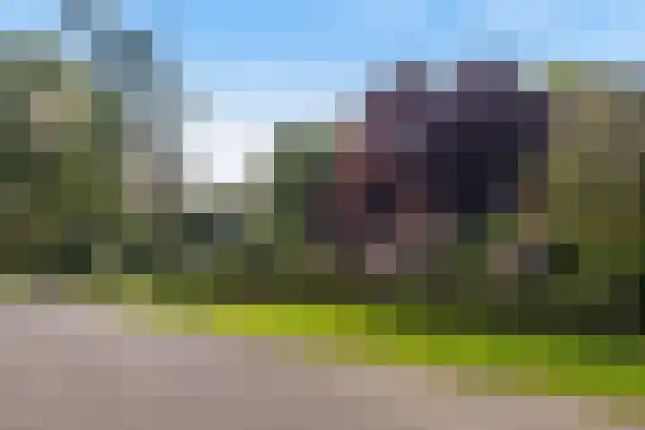 Jacob Catslaan 85 Ermelo thumbnail 51