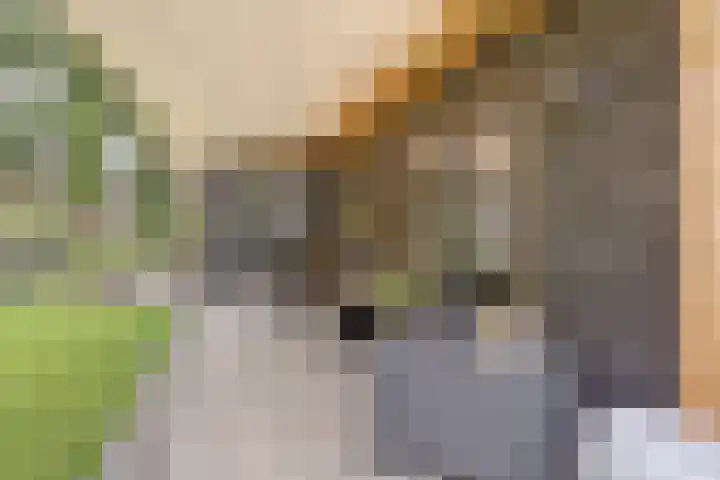 Jacob Catslaan 93 Ermelo thumbnail 49