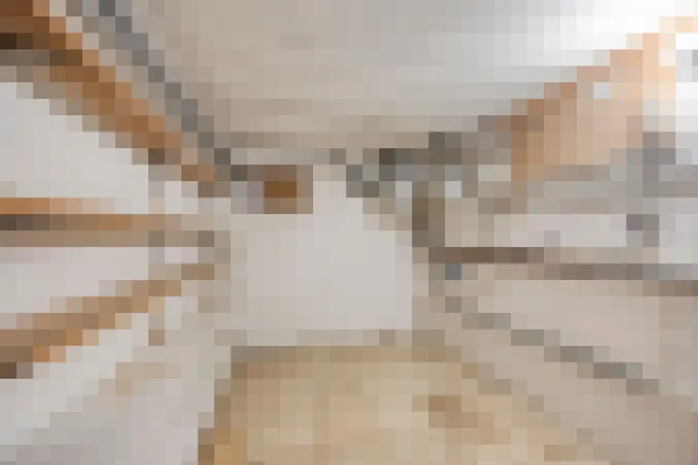 Jacob Catssingel 22 Breda thumbnail 12
