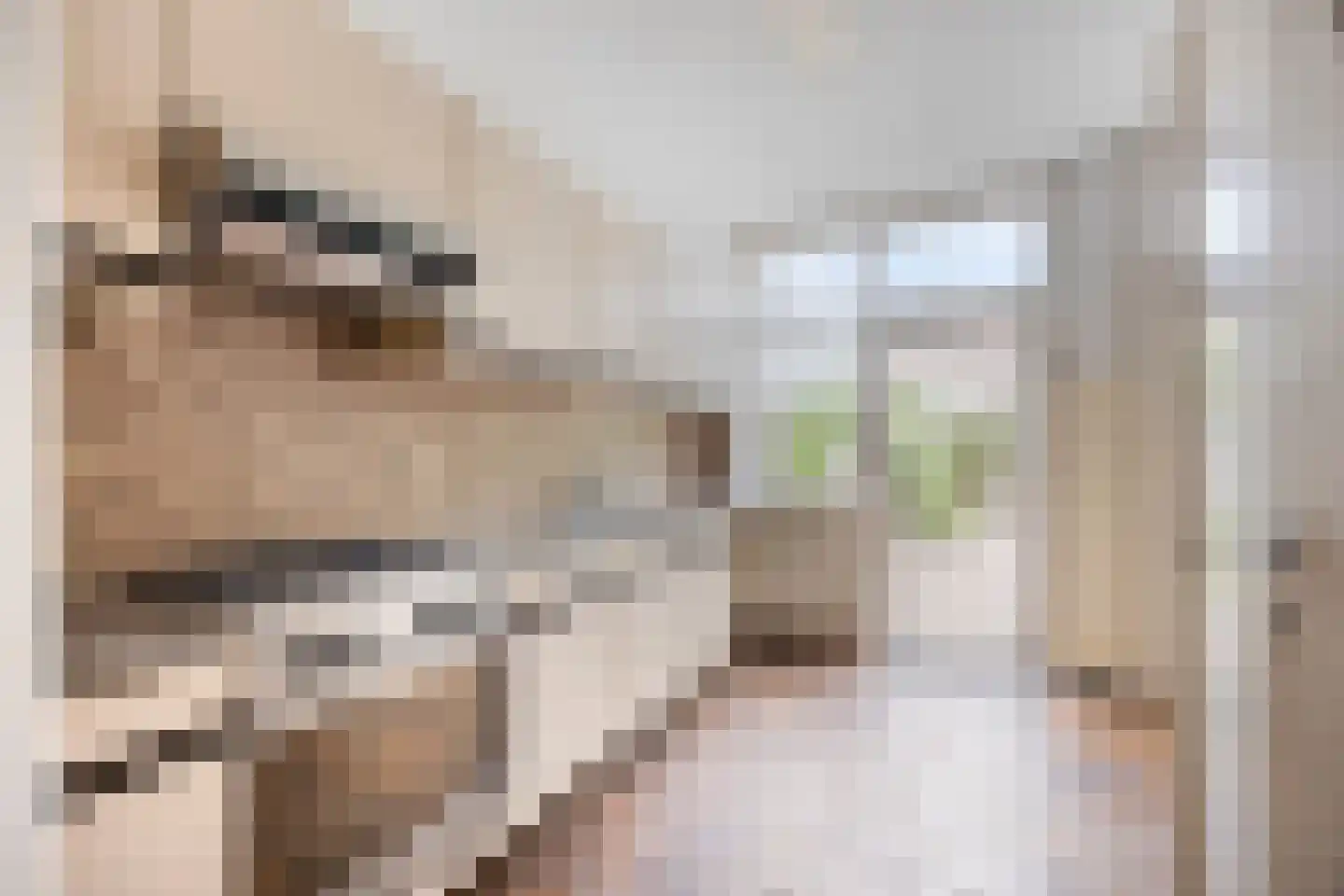 Jacob Catssingel 22 Breda thumbnail 17