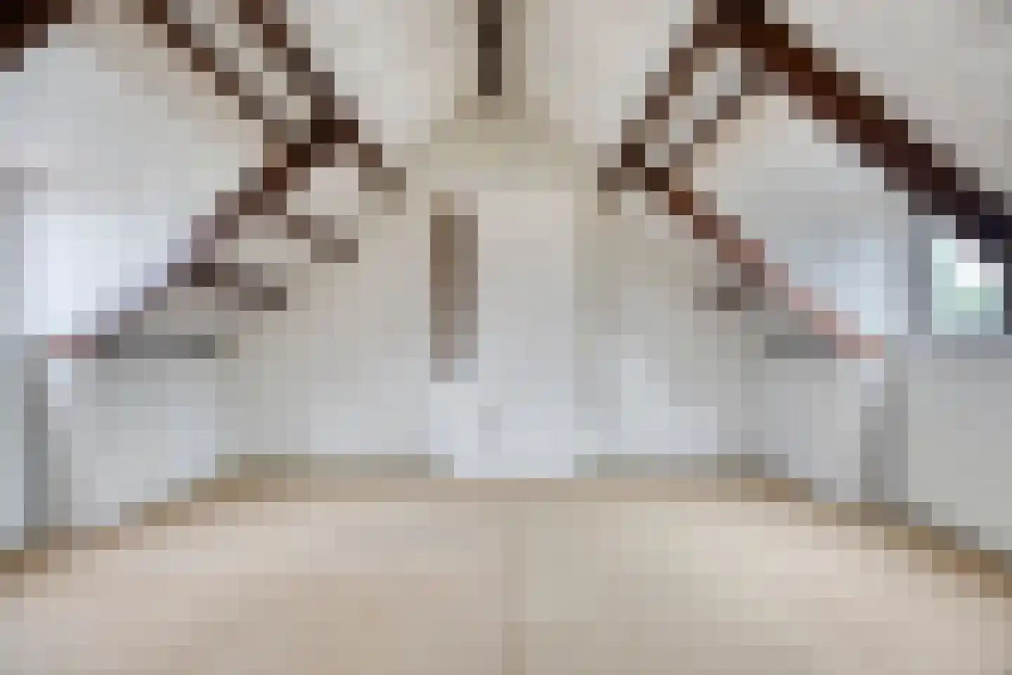Jacob Catssingel 22 Breda thumbnail 31