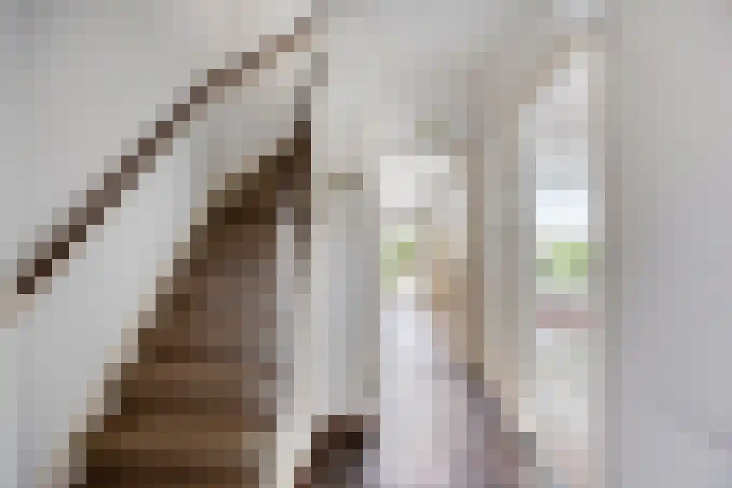Jacob Catssingel 22 Breda thumbnail 8