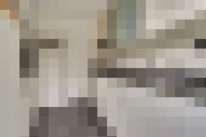 Jacob Catssingel 46 Breda thumbnail 22