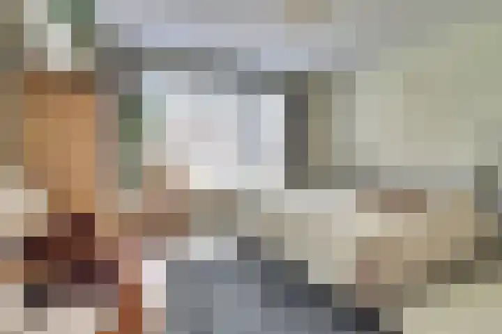 Jacob Catssingel 46 Breda thumbnail 23