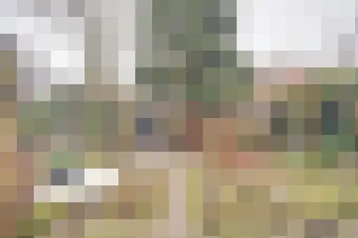 Jacob Catssingel 46 Breda thumbnail 34