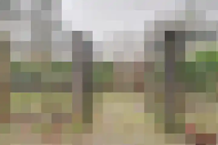 Jacob Catssingel 46 Breda thumbnail 35