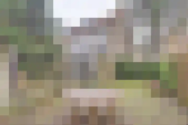 Jacob Catssingel 46 Breda thumbnail 36